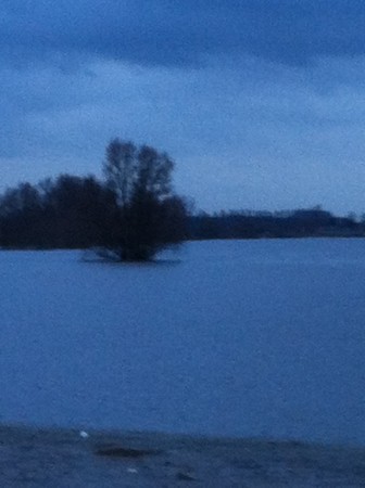 Hoog water aan de IJssel