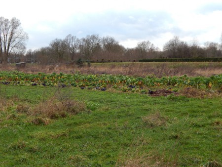 Ecologisch stadspark Zutphen