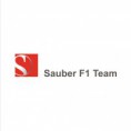 10. Sauber F1 Team 0 Punten